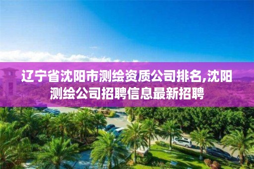 辽宁省沈阳市测绘资质公司排名,沈阳测绘公司招聘信息最新招聘