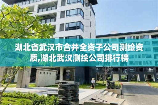 湖北省武汉市合并全资子公司测绘资质,湖北武汉测绘公司排行榜