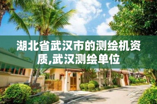 湖北省武汉市的测绘机资质,武汉测绘单位