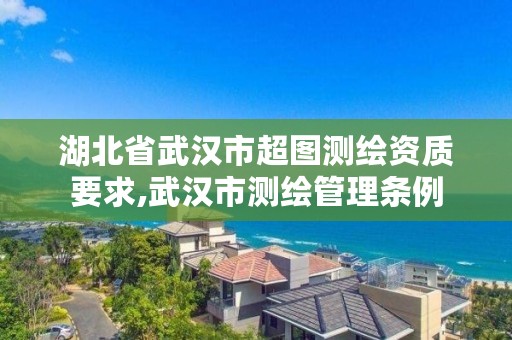 湖北省武汉市超图测绘资质要求,武汉市测绘管理条例