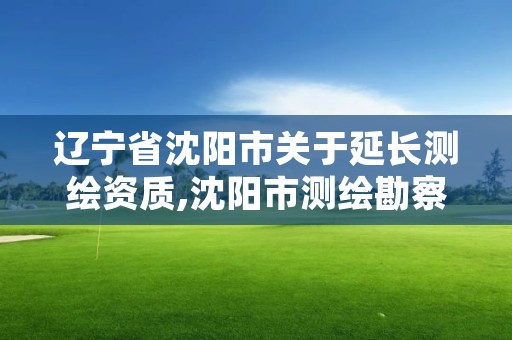 辽宁省沈阳市关于延长测绘资质,沈阳市测绘勘察研究院