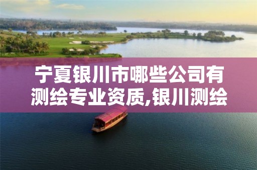 宁夏银川市哪些公司有测绘专业资质,银川测绘公司的联系方式