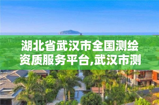 湖北省武汉市全国测绘资质服务平台,武汉市测绘管理条例