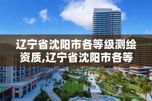 辽宁省沈阳市各等级测绘资质,辽宁省沈阳市各等级测绘资质取消了吗