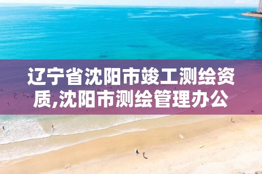 辽宁省沈阳市竣工测绘资质,沈阳市测绘管理办公室