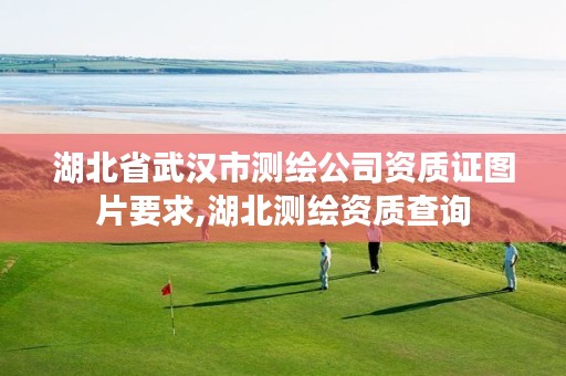 湖北省武汉市测绘公司资质证图片要求,湖北测绘资质查询