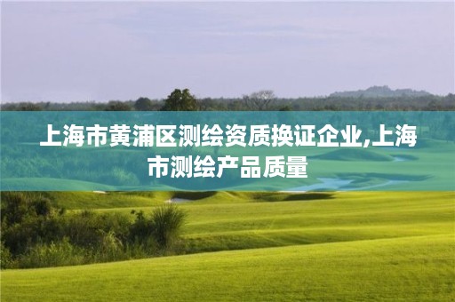 上海市黄浦区测绘资质换证企业,上海市测绘产品质量