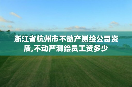 浙江省杭州市不动产测绘公司资质,不动产测绘员工资多少