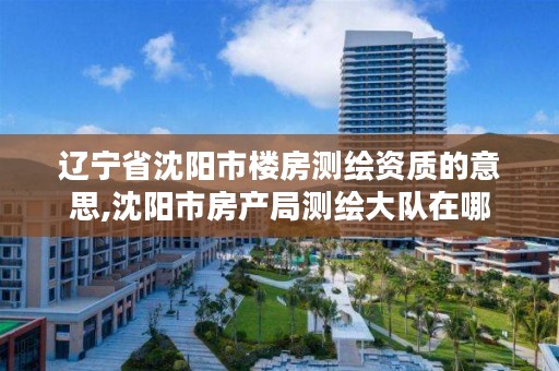辽宁省沈阳市楼房测绘资质的意思,沈阳市房产局测绘大队在哪