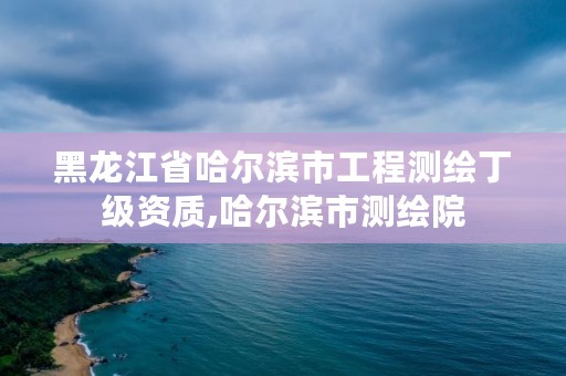 黑龙江省哈尔滨市工程测绘丁级资质,哈尔滨市测绘院