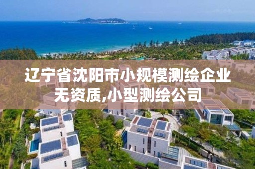 辽宁省沈阳市小规模测绘企业无资质,小型测绘公司