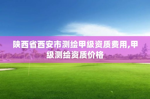 陕西省西安市测绘甲级资质费用,甲级测绘资质价格
