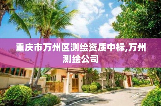 重庆市万州区测绘资质中标,万州测绘公司