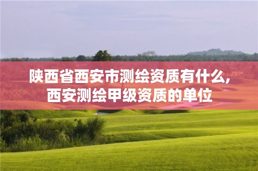 陕西省西安市测绘资质有什么,西安测绘甲级资质的单位