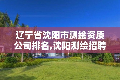 辽宁省沈阳市测绘资质公司排名,沈阳测绘招聘信息