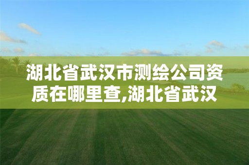 湖北省武汉市测绘公司资质在哪里查,湖北省武汉市测绘公司资质在哪里查询