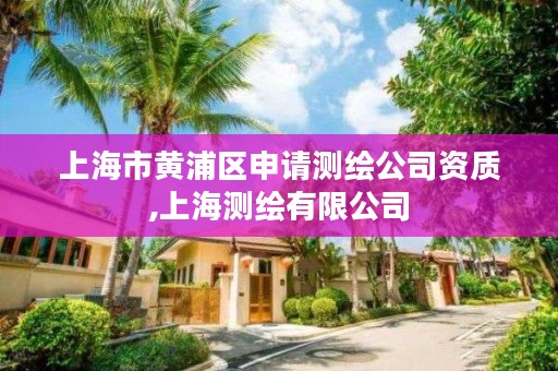 上海市黄浦区申请测绘公司资质,上海测绘有限公司