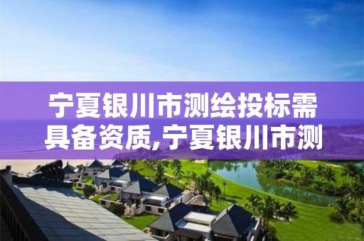 宁夏银川市测绘投标需具备资质,宁夏银川市测绘投标需具备资质的公司