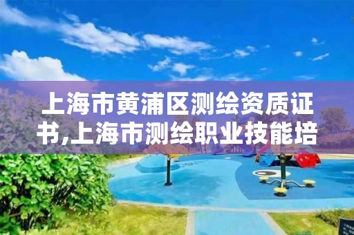 上海市黄浦区测绘资质证书,上海市测绘职业技能培训中心