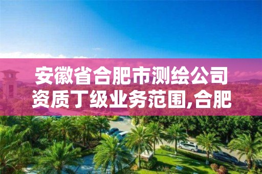 安徽省合肥市测绘公司资质丁级业务范围,合肥市有资质的测绘公司