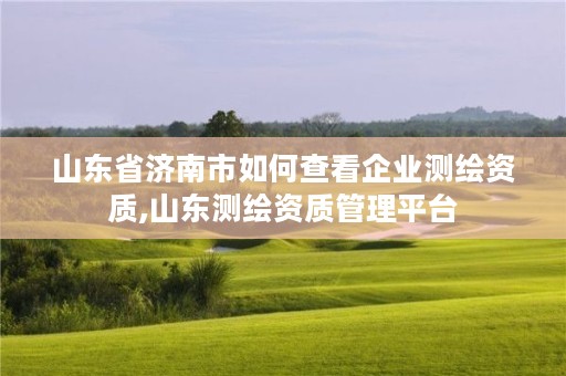 山东省济南市如何查看企业测绘资质,山东测绘资质管理平台