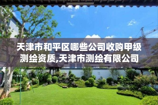 天津市和平区哪些公司收购甲级测绘资质,天津市测绘有限公司