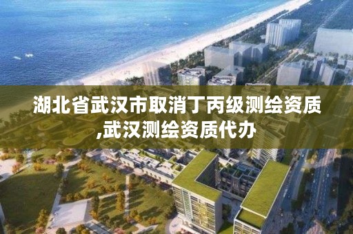 湖北省武汉市取消丁丙级测绘资质,武汉测绘资质代办