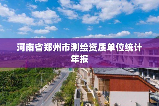 河南省郑州市测绘资质单位统计年报