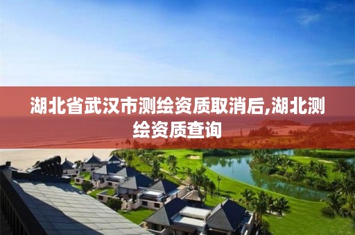 湖北省武汉市测绘资质取消后,湖北测绘资质查询