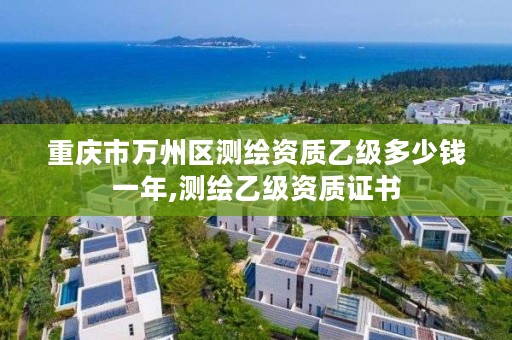 重庆市万州区测绘资质乙级多少钱一年,测绘乙级资质证书