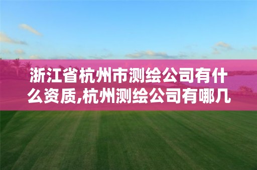 浙江省杭州市测绘公司有什么资质,杭州测绘公司有哪几家