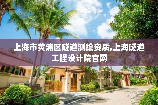 上海市黄浦区隧道测绘资质,上海隧道工程设计院官网