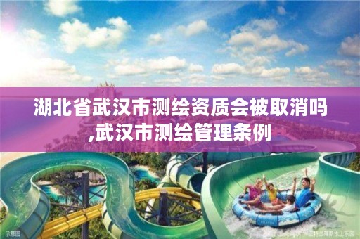 湖北省武汉市测绘资质会被取消吗,武汉市测绘管理条例