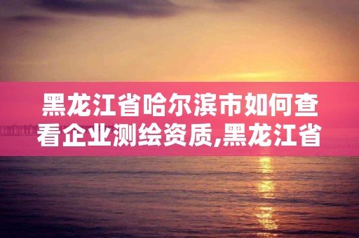 黑龙江省哈尔滨市如何查看企业测绘资质,黑龙江省哈尔滨市测绘局