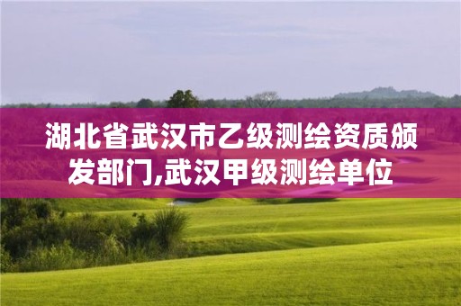 湖北省武汉市乙级测绘资质颁发部门,武汉甲级测绘单位