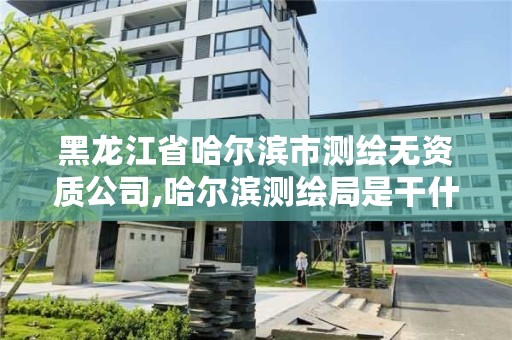 黑龙江省哈尔滨市测绘无资质公司,哈尔滨测绘局是干什么的