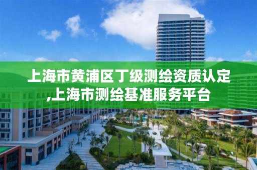 上海市黄浦区丁级测绘资质认定,上海市测绘基准服务平台