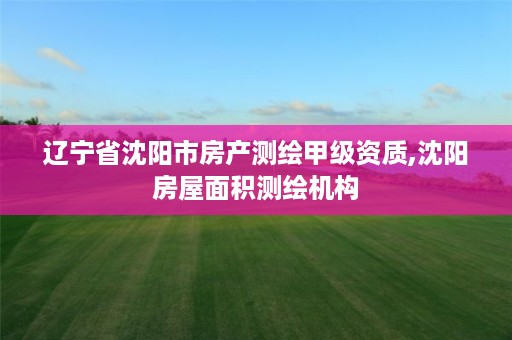 辽宁省沈阳市房产测绘甲级资质,沈阳房屋面积测绘机构
