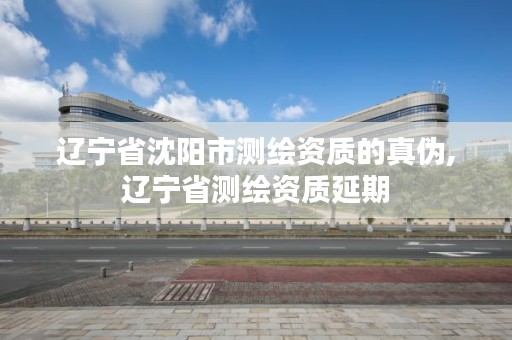 辽宁省沈阳市测绘资质的真伪,辽宁省测绘资质延期