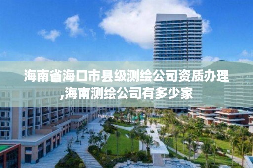 海南省海口市县级测绘公司资质办理,海南测绘公司有多少家