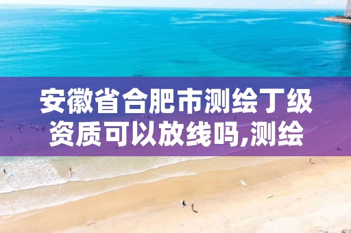 安徽省合肥市测绘丁级资质可以放线吗,测绘丁级资质人员条件