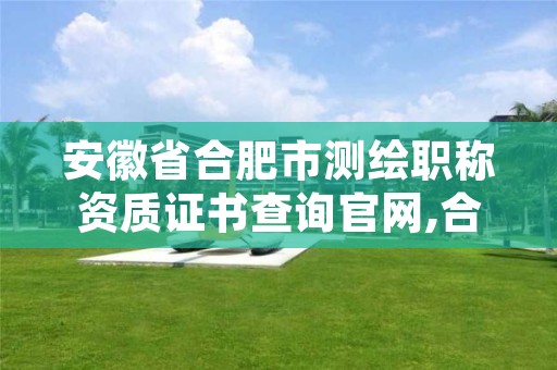 安徽省合肥市测绘职称资质证书查询官网,合肥测绘院是什么单位