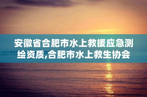 安徽省合肥市水上救援应急测绘资质,合肥市水上救生协会