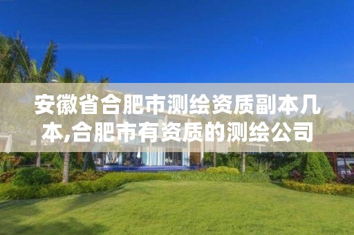 安徽省合肥市测绘资质副本几本,合肥市有资质的测绘公司