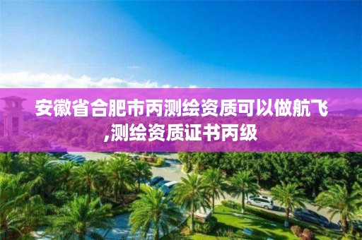 安徽省合肥市丙测绘资质可以做航飞,测绘资质证书丙级