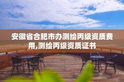 安徽省合肥市办测绘丙级资质费用,测绘丙级资质证书