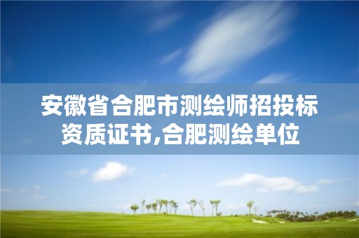 安徽省合肥市测绘师招投标资质证书,合肥测绘单位