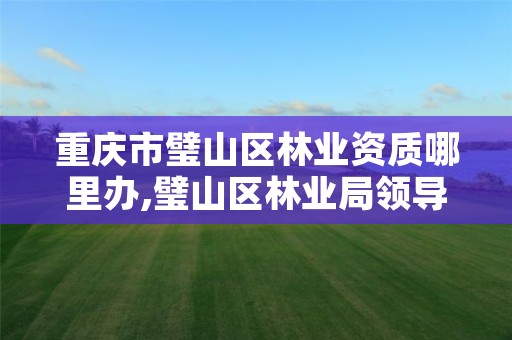 重庆市璧山区林业资质哪里办,璧山区林业局领导班子