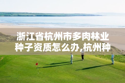 浙江省杭州市多肉林业种子资质怎么办,杭州种多肉的寺庙