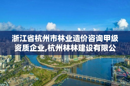 浙江省杭州市林业造价咨询甲级资质企业,杭州林林建设有限公司